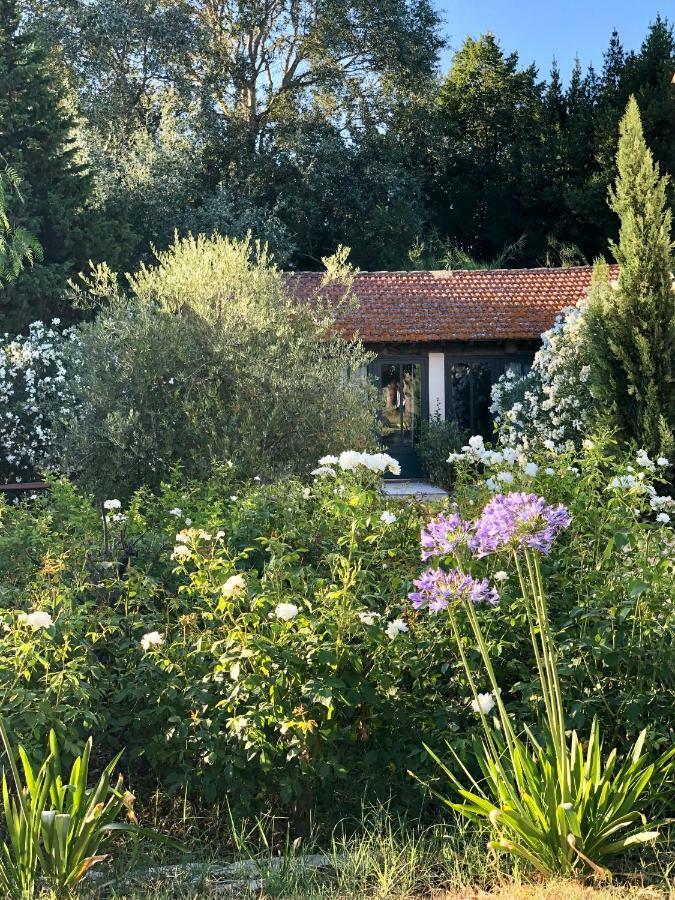 B&B Mas De Caustes Saint-Rémy-de-Provence Eksteriør bilde