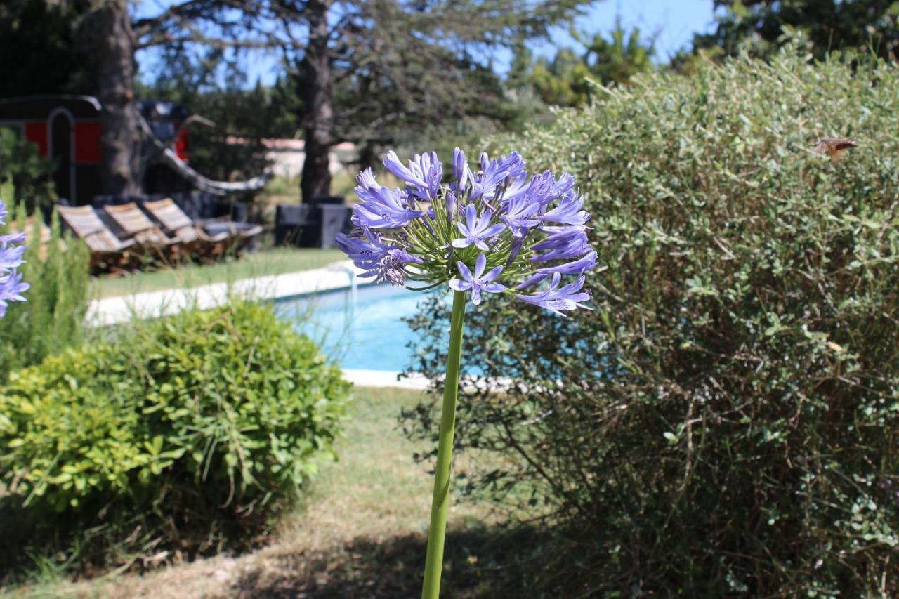 B&B Mas De Caustes Saint-Rémy-de-Provence Eksteriør bilde