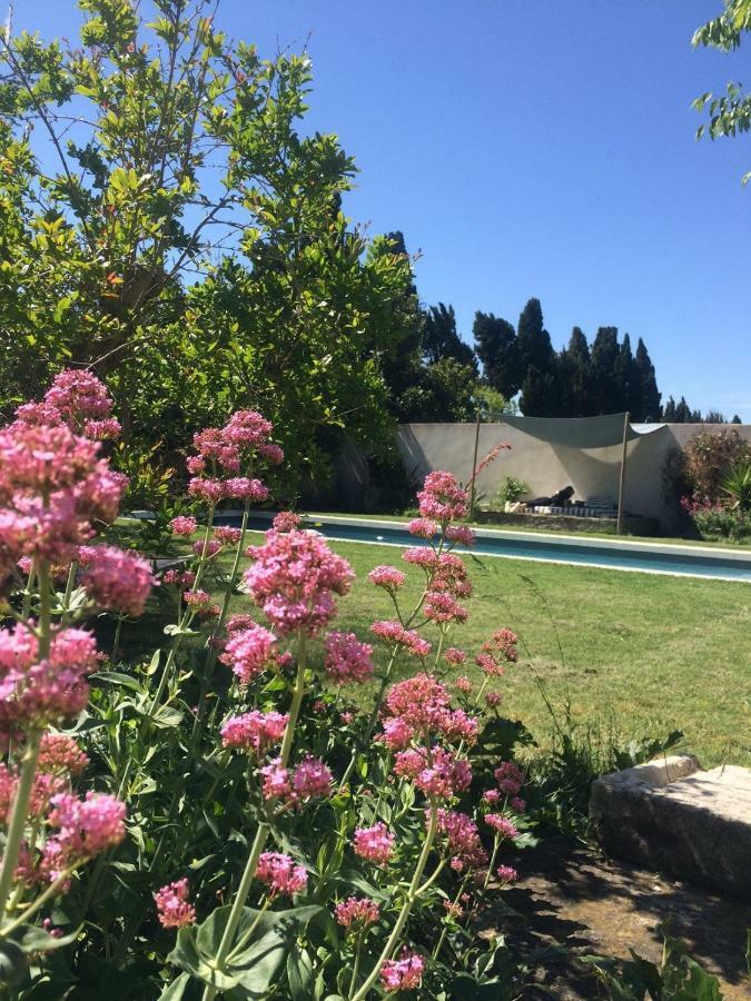 B&B Mas De Caustes Saint-Rémy-de-Provence Eksteriør bilde