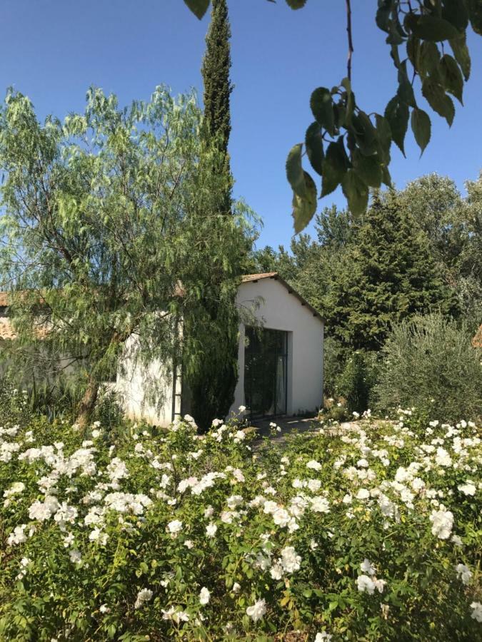 B&B Mas De Caustes Saint-Rémy-de-Provence Eksteriør bilde